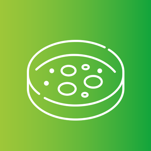 icon Bacteria plate