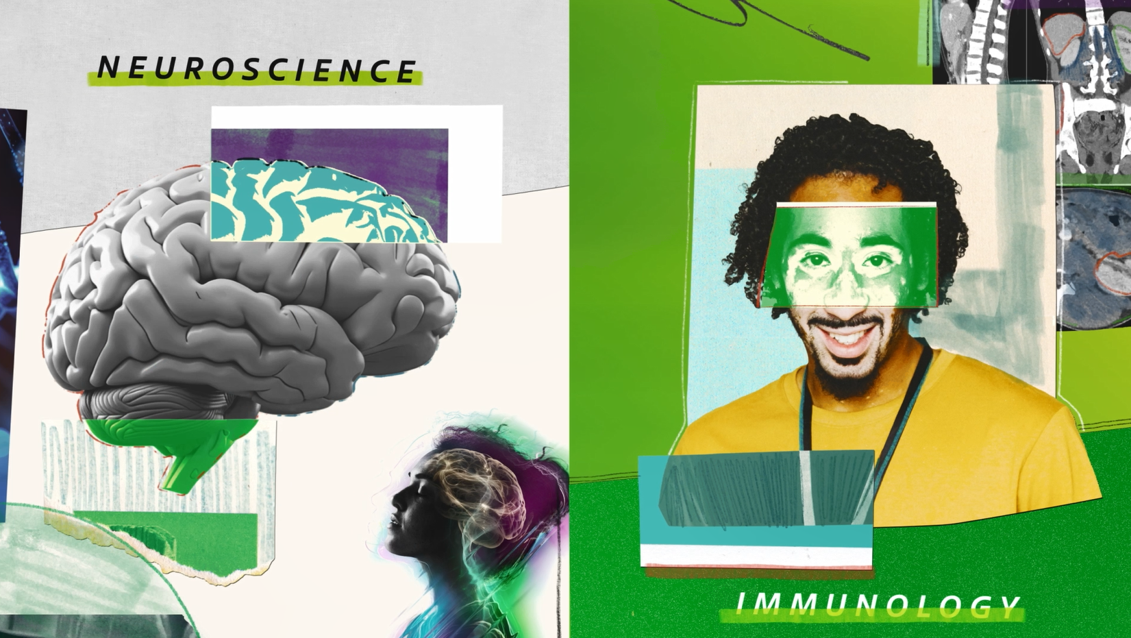 Neuroscience Immunology